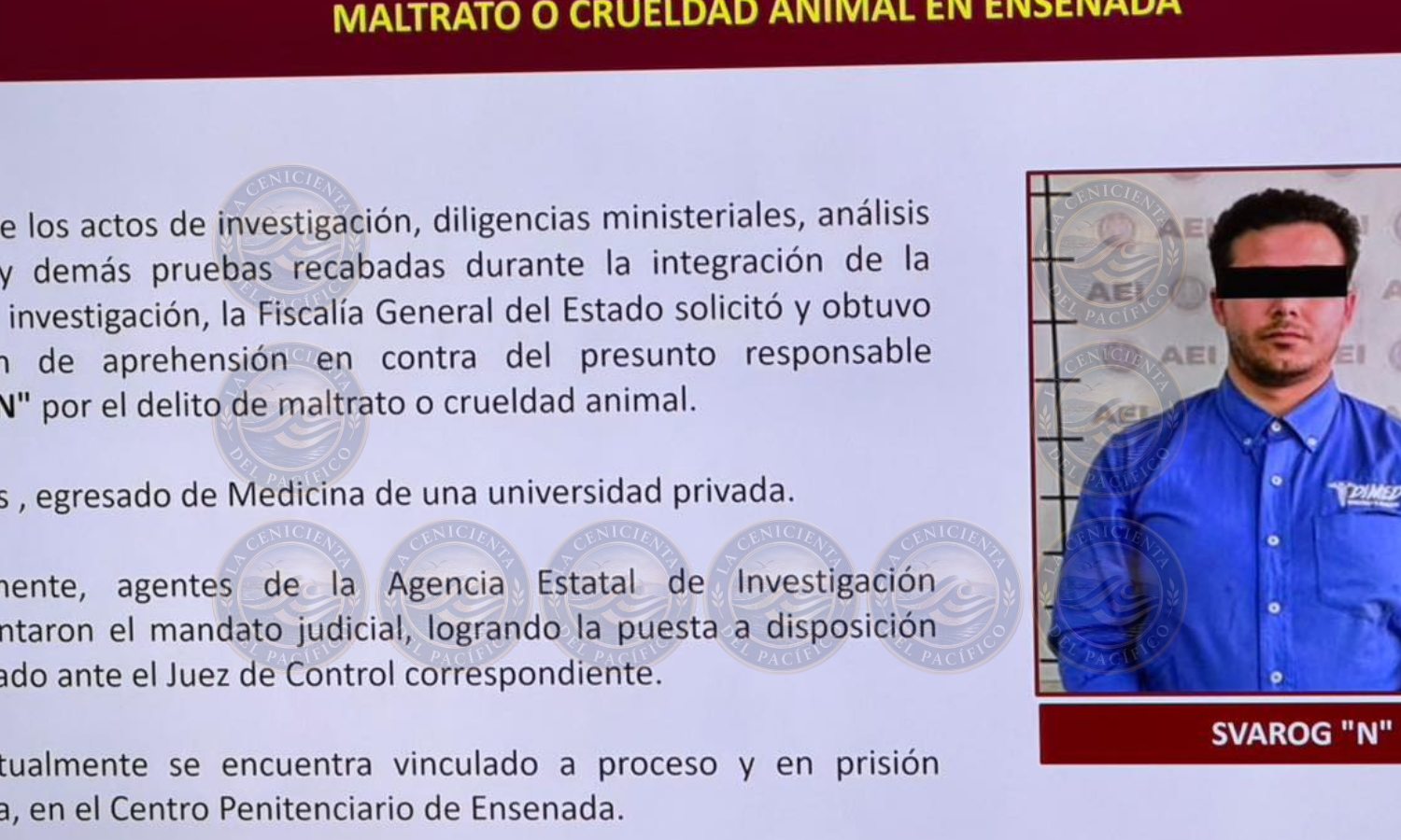 diligencias-ministeriales-del-caso-svarog
