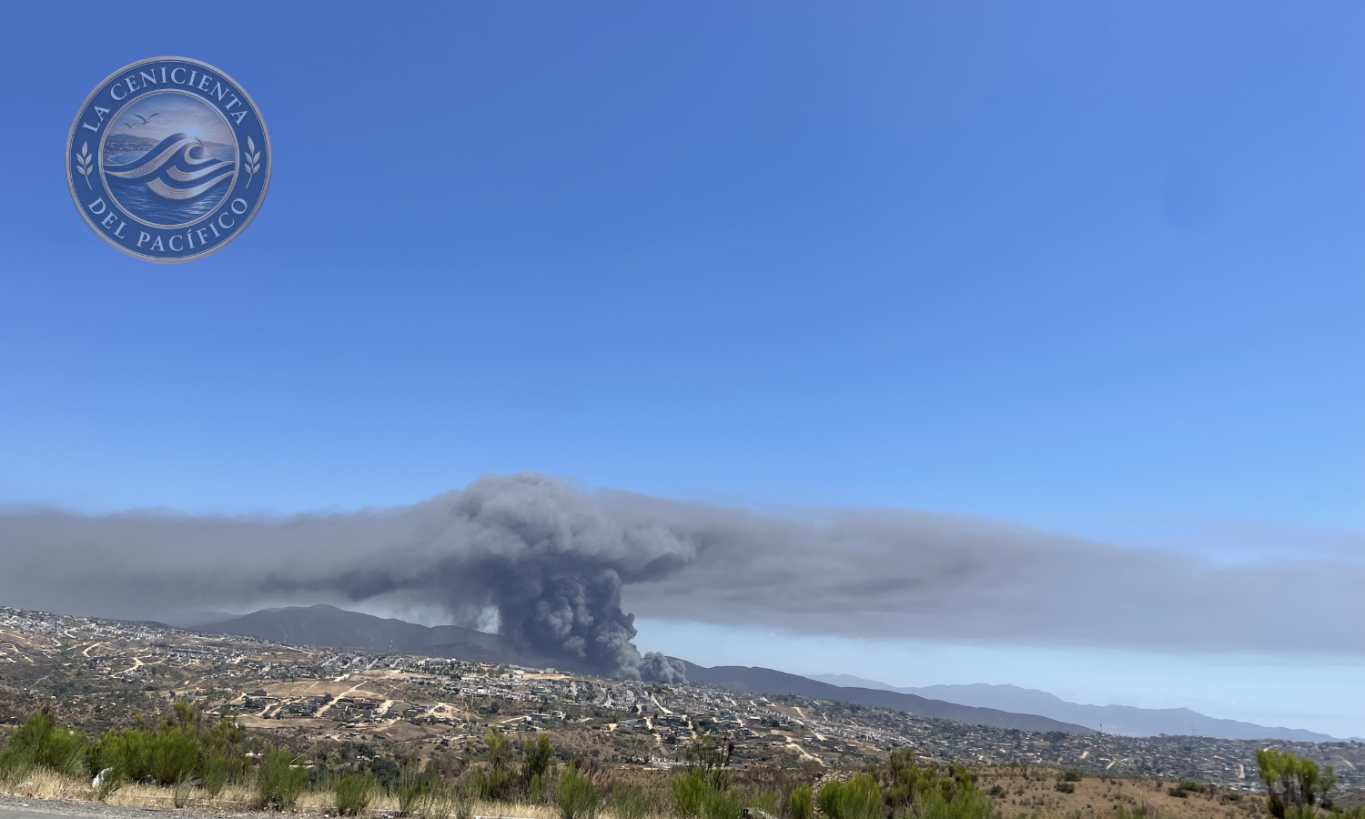 incendio en yonke federal ensenada