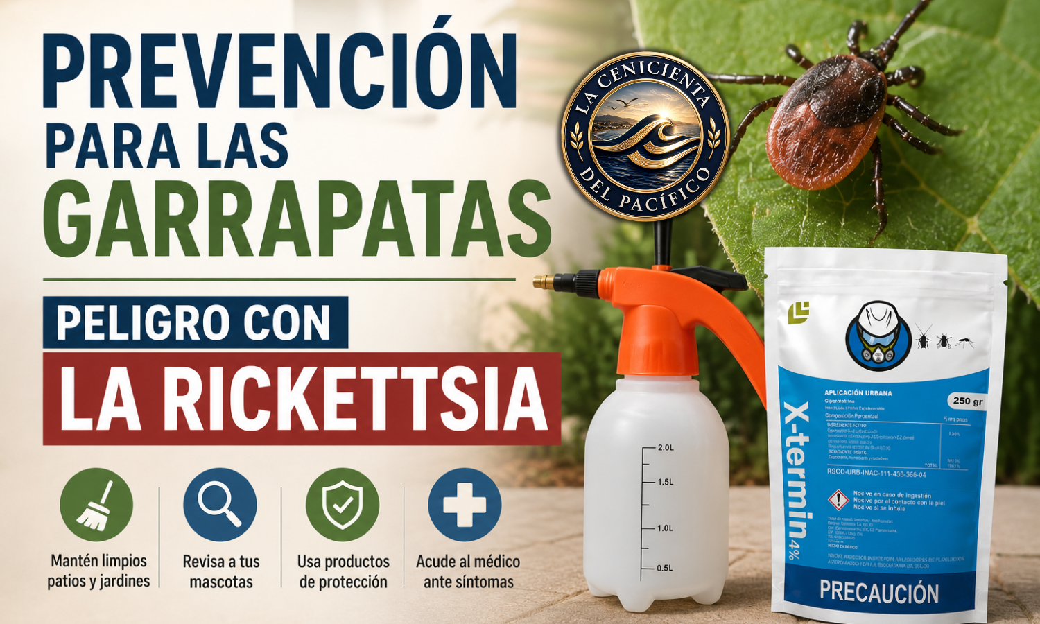 prevención contra las garrapatas en ensenada por casos de rickettsia